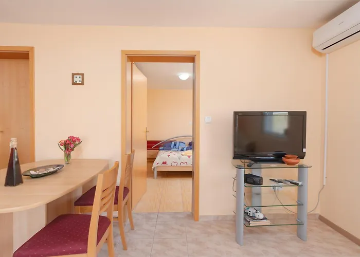 Sol In Sonce * 파그